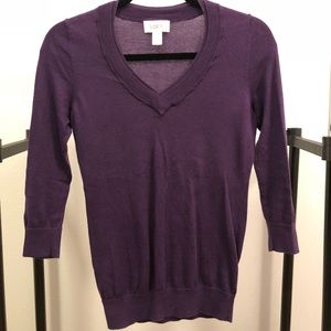 Ann Taylor LOFT V-neck Sweater